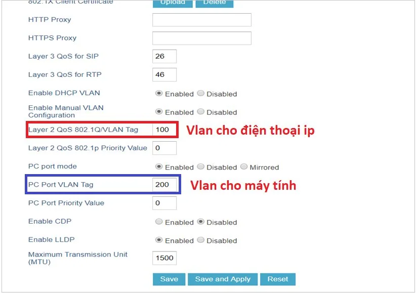 Hướng dẫn chạy dịch vụ Vlan trên IP Phone Grandstream