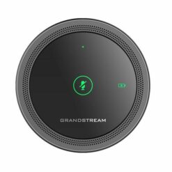 Mic không dây GMD1208